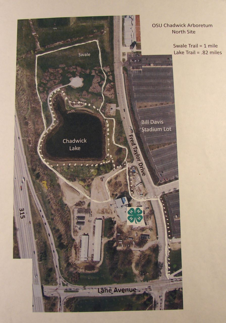 Mapping Your Path to Move Walking Paths OSU Health Plan